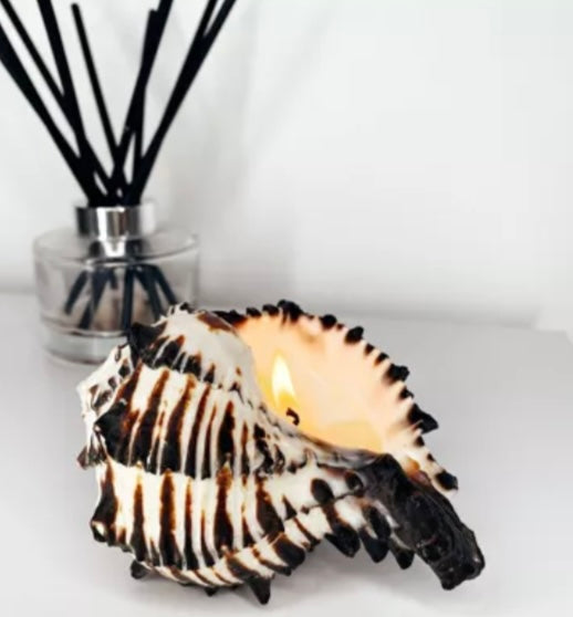 Bougie coquillage #3 - PRÉCOMMANDE